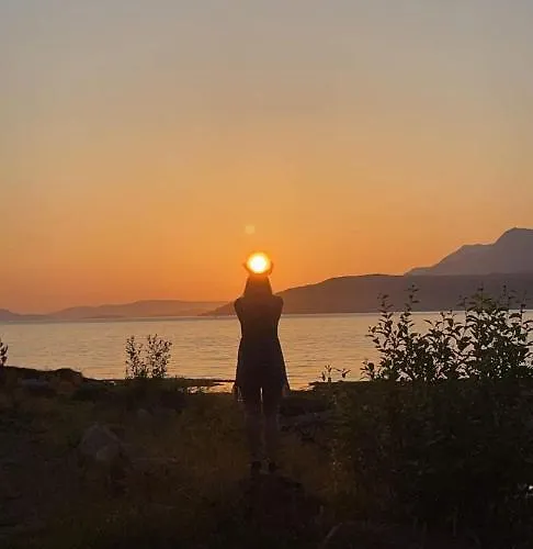 Daire Morud Mestervik